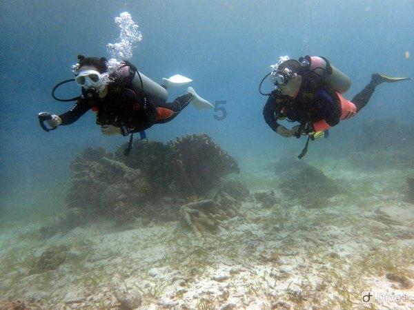 河南大旱,水库水位下降数百米,考古专家赶到挖出了6条“金龙”